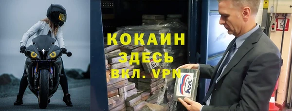 шишки Нея
