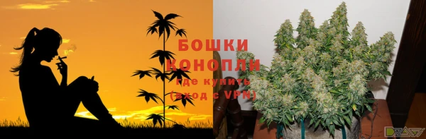 mdpv Богданович