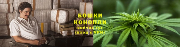 mdpv Богданович