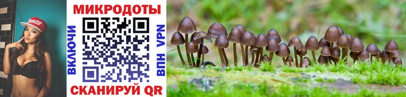 Галлюциногенные грибы Psilocybe  наркотики  Бокситогорск 